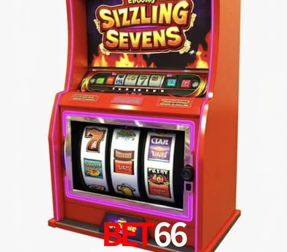Security Systems bet66